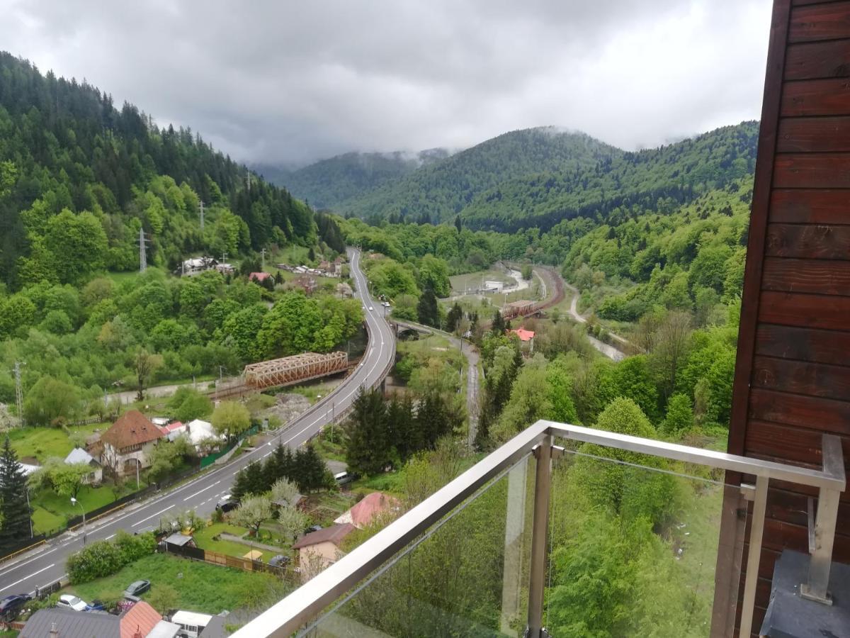 Sinaia Q Marie Apartment Εξωτερικό φωτογραφία