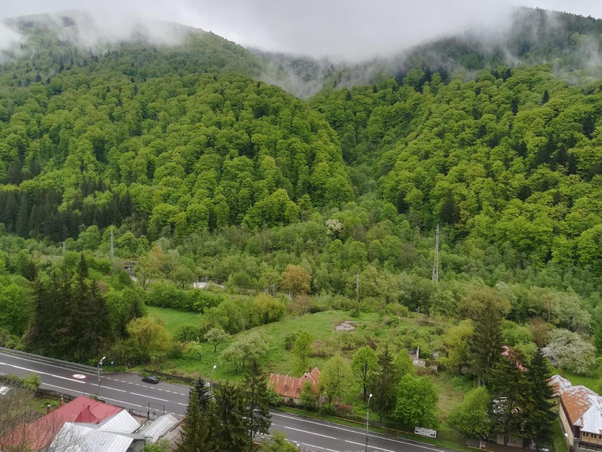 Sinaia Q Marie Apartment Εξωτερικό φωτογραφία